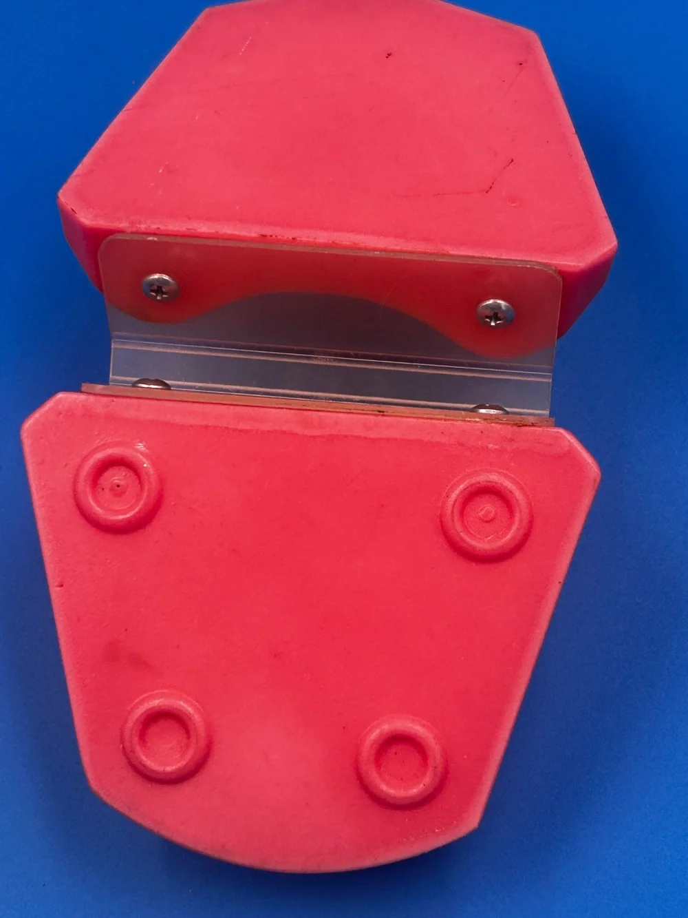 Vintage Dental Teaching Model - Coral Pink Educational Teeth Display